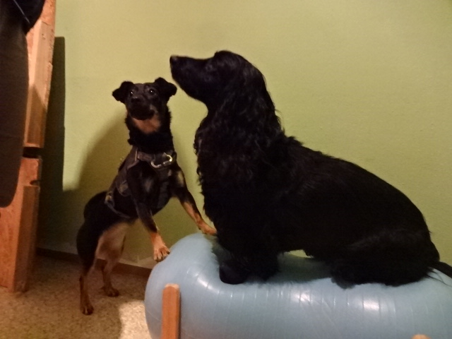 Workshop: Warm up! – Cool down! (+&nbsp;Bericht)