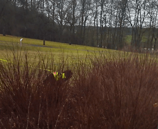 Kurs: Erste Hilfe für&nbsp;Hunde