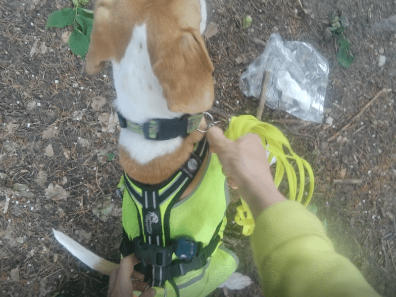 2. Offenes MantrailingFreaks –&nbsp;TrailTreffen