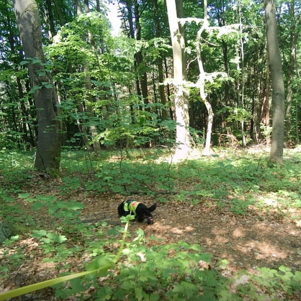 Bericht: Hanglagen, Höhlen & wechselnde Untergründe (Mai&nbsp;2022)