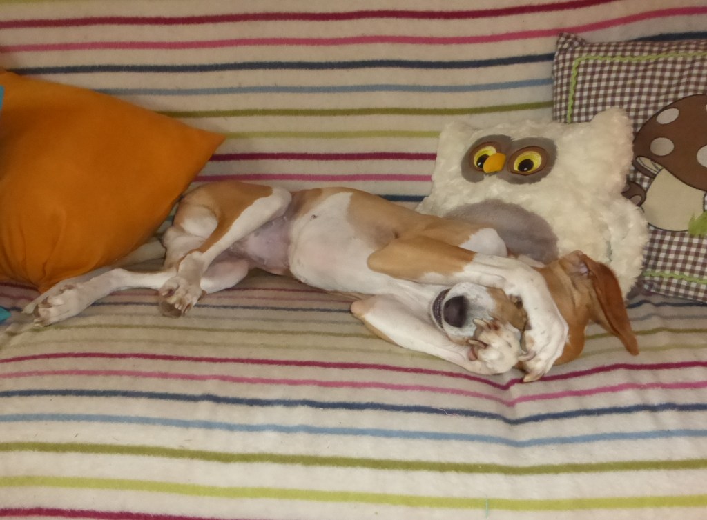 Rituale geben Sicherheit