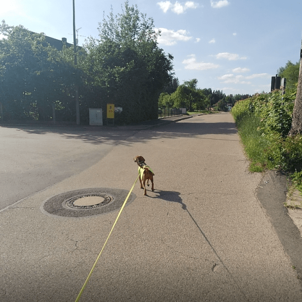 Prüfung: MT 1 am 18.06.2022&nbsp;(+Bericht)