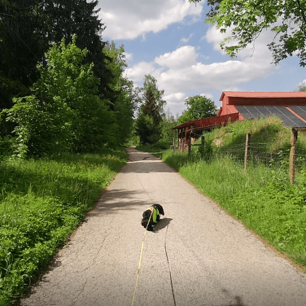 Bericht: Hanglagen, Kreuzungen & Unterführungen (Mai&nbsp;2022)