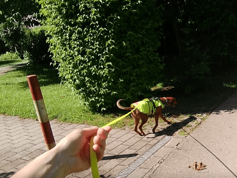 Event: 1. Offenes Trailtreffen&nbsp;Frankenpfalz