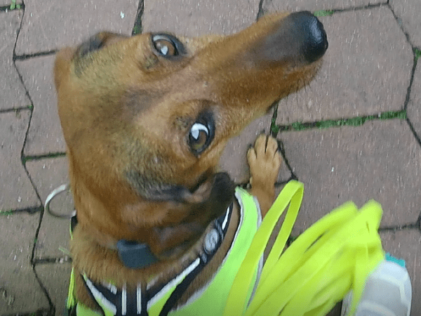 Intensivtag: „Rund um den&nbsp;Start“