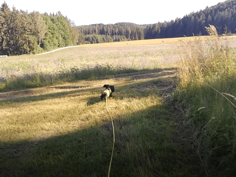 Bericht: Höhlen & Hochebenen (Juli&nbsp;2022)