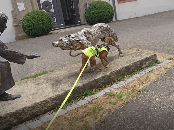 Bericht: Zwischen Klostermauern (Juni&nbsp;2022)
