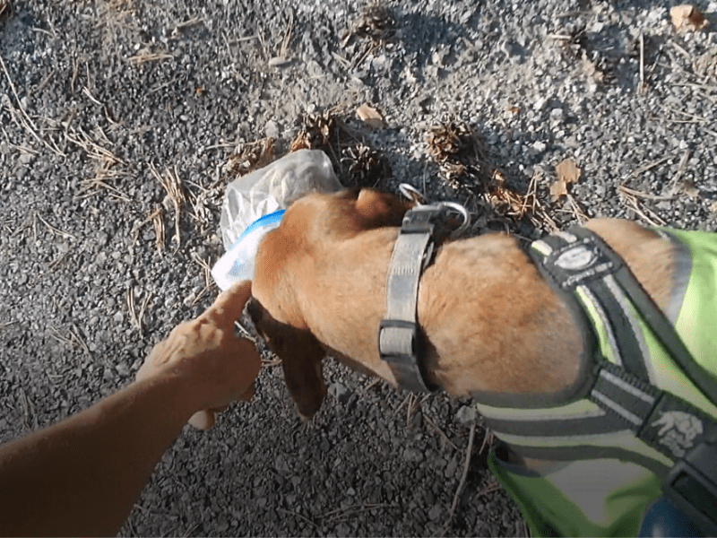 2 Workshops im Mai &&nbsp;Juni