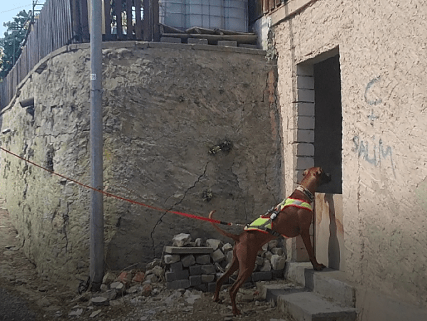 Bericht: Trailen zwischen Burg & Bahnhof (Juli&nbsp;2022)