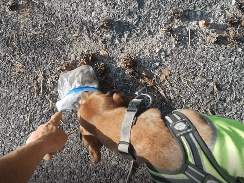 Workshop: Geruchsartikel &&nbsp;Anriechen