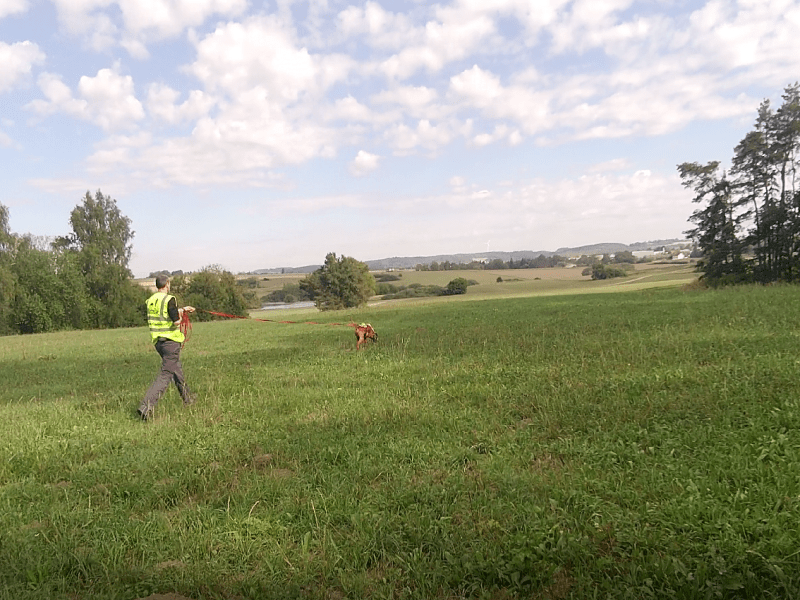 Wertschätzender Start