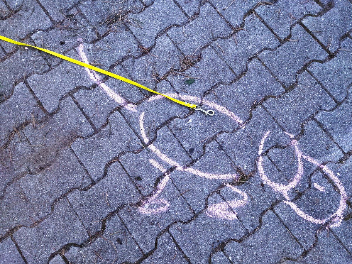 Seifenblasen, Mathematik &&nbsp;Mantrailen