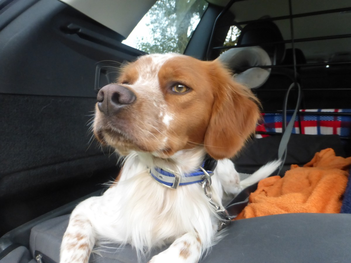 Kostenloses Zoommeeting mit Webinar im&nbsp;Oktober!