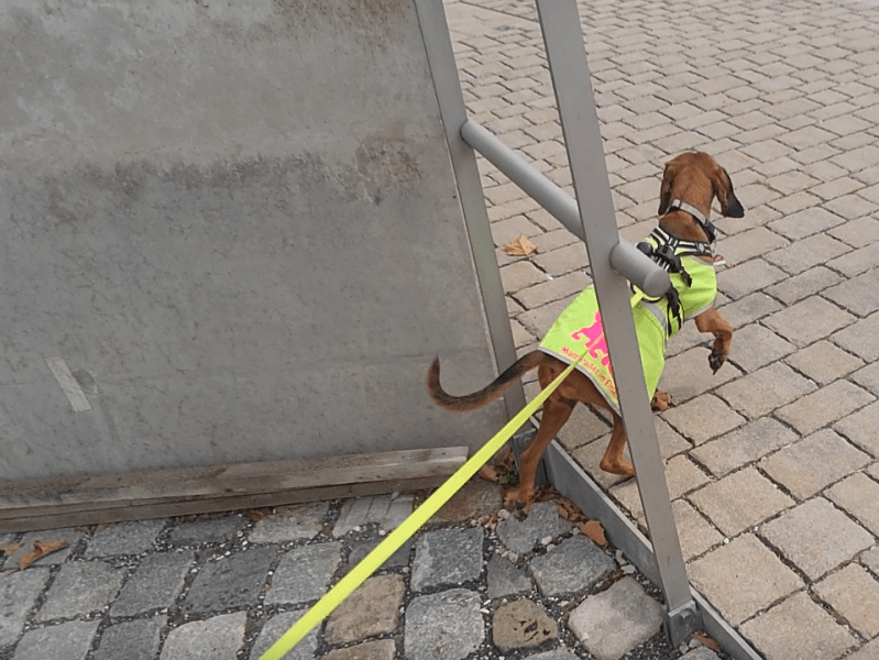 Bericht: Dranbleiben… arbeiten bis zum Erfolg! (August/September 2022)