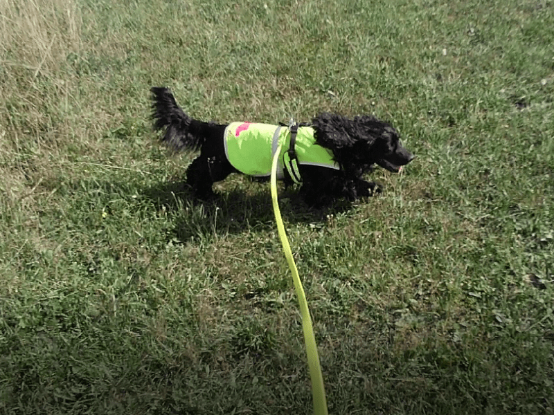 Bericht: Kreuz & quer & drunter & drüber… (August&nbsp;2022)