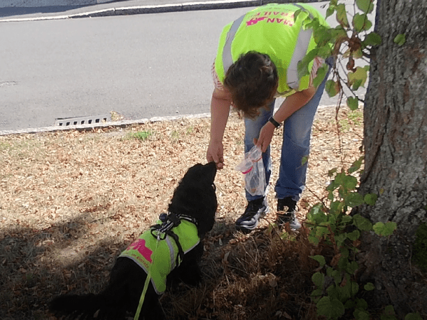 Rollentausch – für´s perfekte&nbsp;Lernen