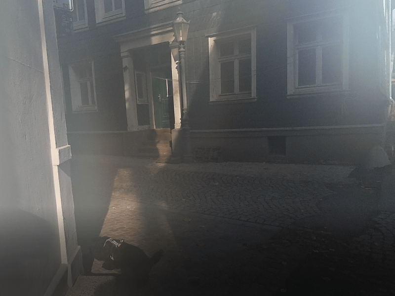 Train the Trainer in&nbsp;Remscheid