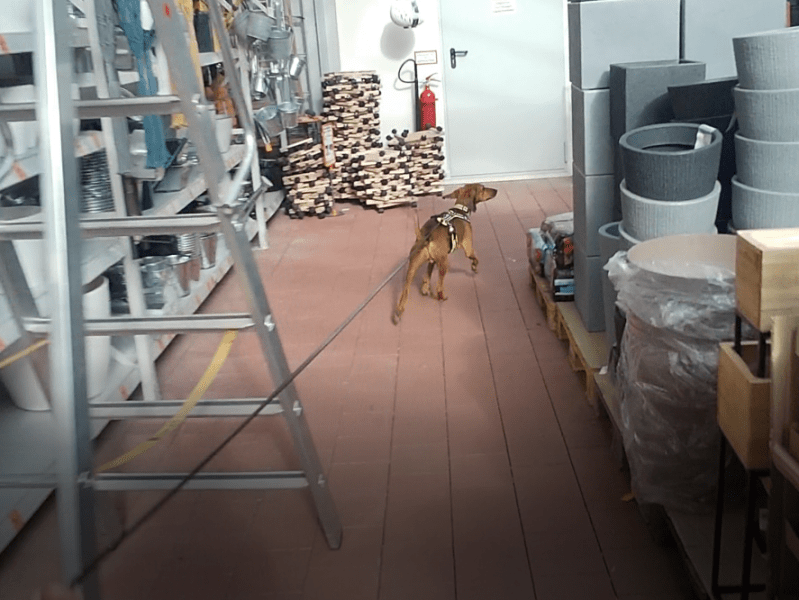 Bericht: Baumarkt-Trailen (Oktober&nbsp;2022)