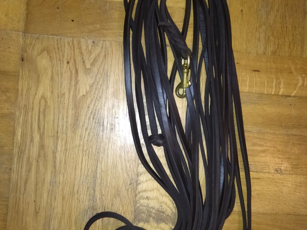 Wie finde ich die richtige Leine für´s&nbsp;Mantrailing?