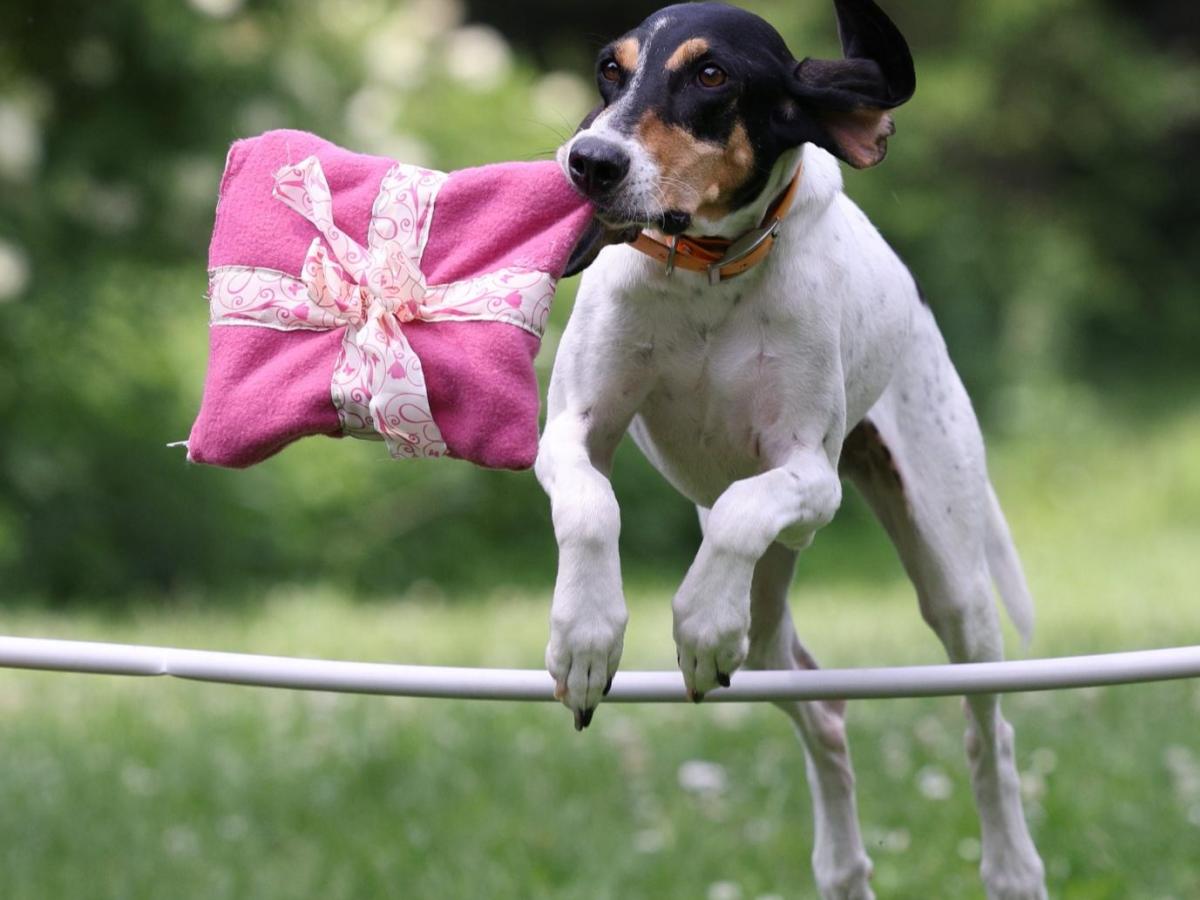 Winterweihnachtsspecial