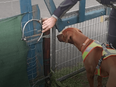 Bericht: Verbrecher gesucht! (Dezember&nbsp;2022)