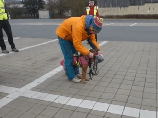 Bericht: Mantrailen im Winter (Dezember&nbsp;2022)