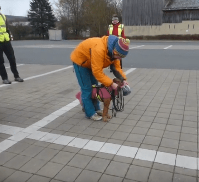 Bericht: Mantrailen im Winter (Dezember&nbsp;2022)