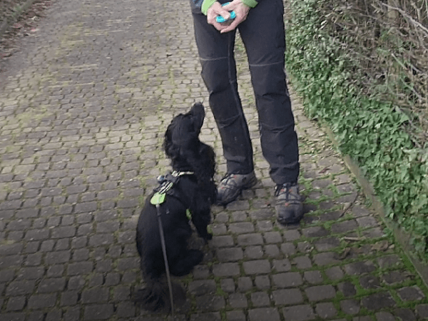 Workshop: Anzeigeverhalten perfektionieren