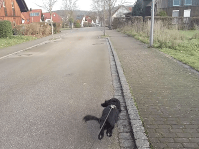 Bericht: Unsere bunte Truppe – Bilder vom Januar&nbsp;2023!