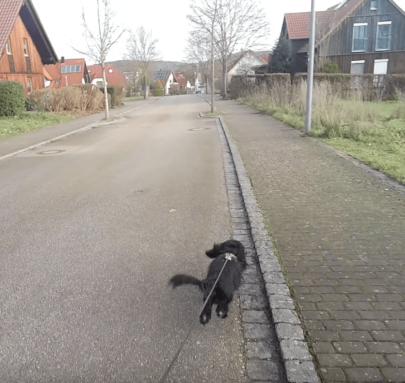 Bericht: Unsere bunte Truppe – Bilder vom Januar&nbsp;2023!