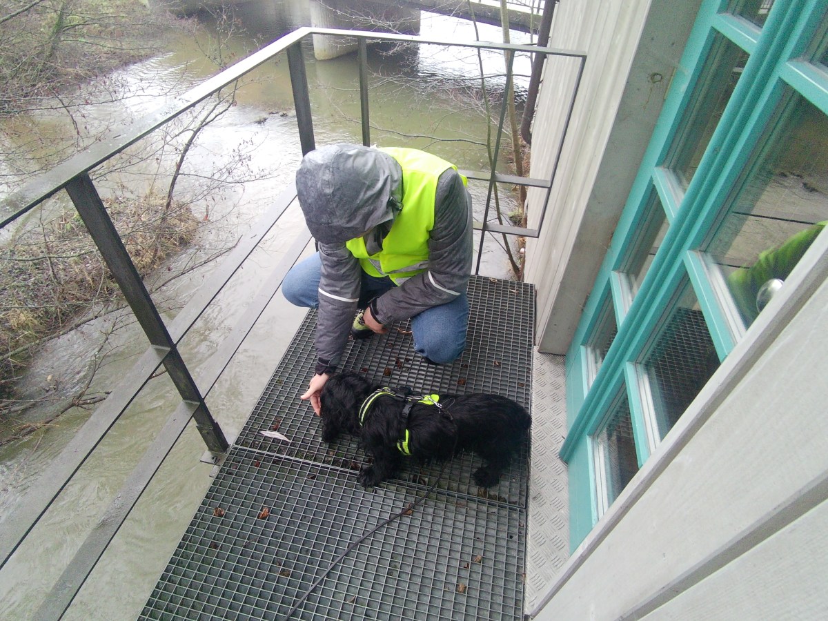 Special Event: Charity Trailen&nbsp;HHM