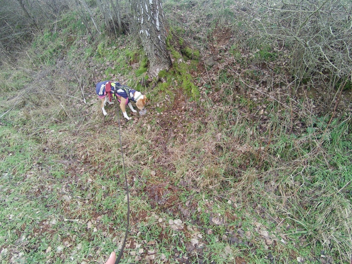 Gruselige Versteckpersonen