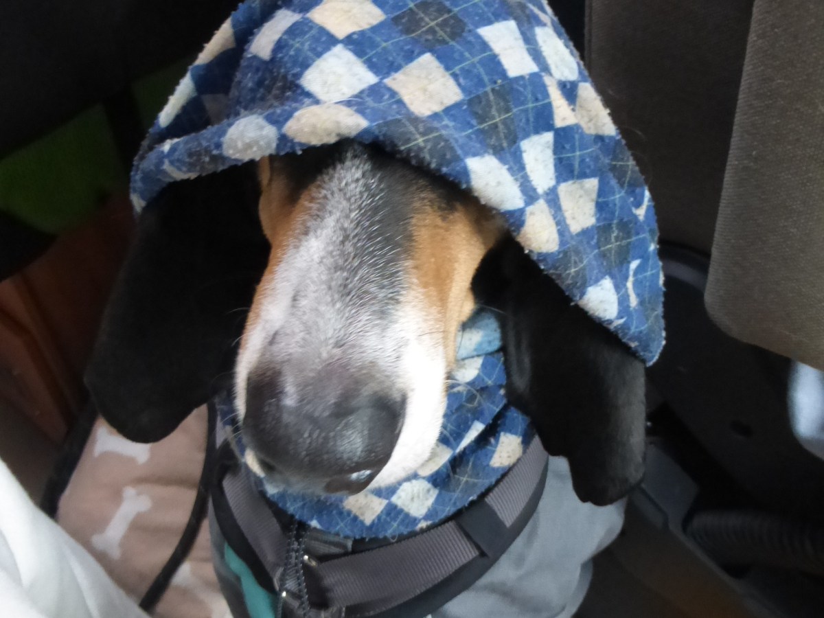 Doubleblind – warum???