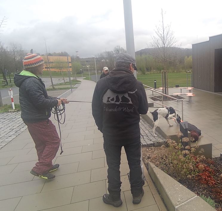 Cool war´s – Trainingstag mit&nbsp;hounds@work!