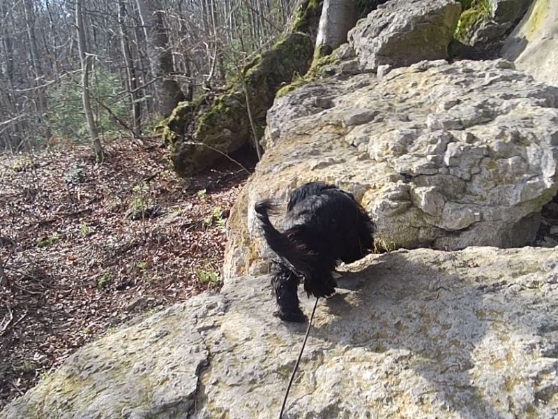 Intensivseminar Vertrauensbooster (1.7.23)