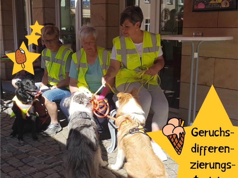 Impressionen aus dem Mai&nbsp;2023