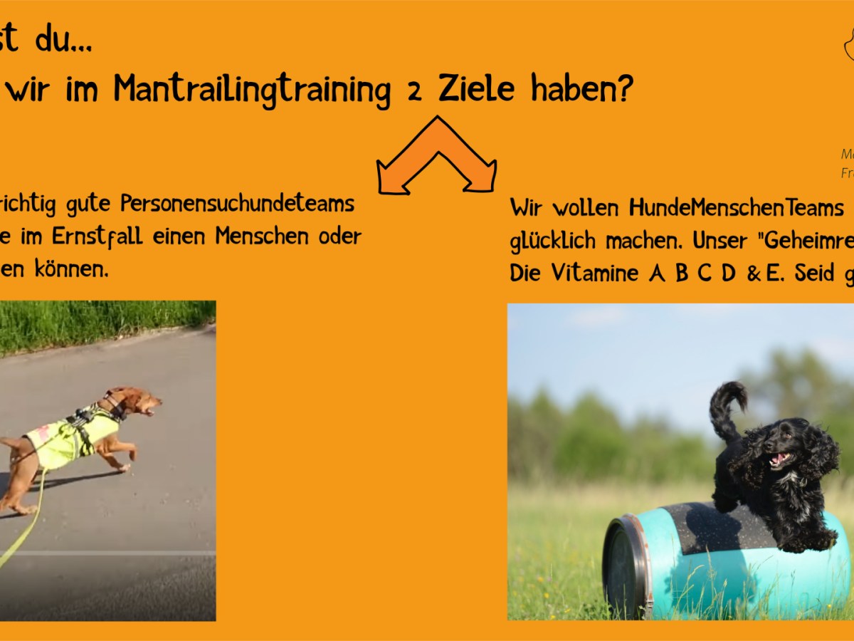 Warum macht Mantrailing&nbsp;glücklich?