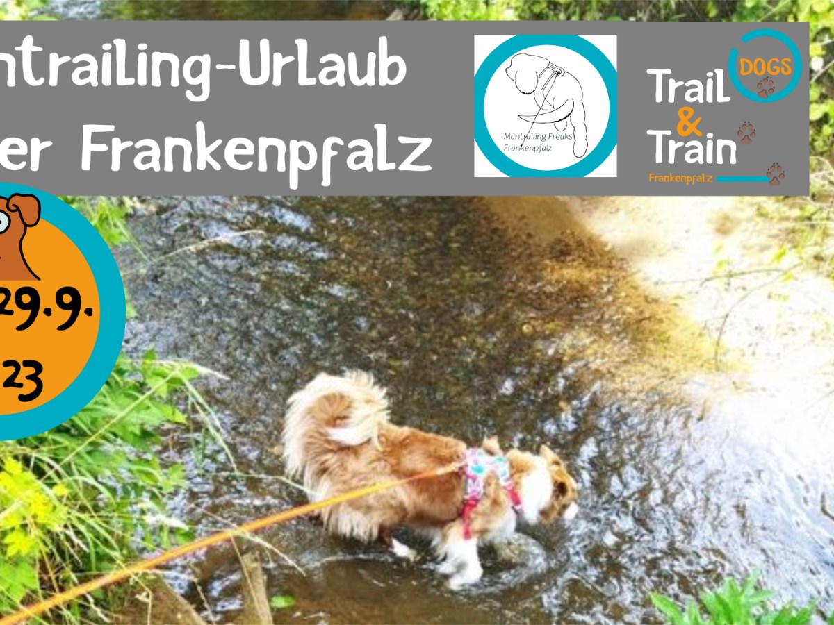 Mantrailing-Urlaub in der&nbsp;Frankenpfalz