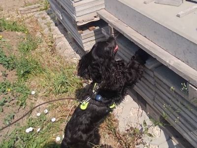 Juni – Dezember 2023 oder ein&nbsp;Buchungssystem?