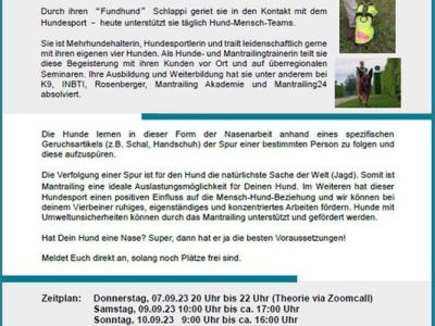 MFF Herbstseminar Würzburg