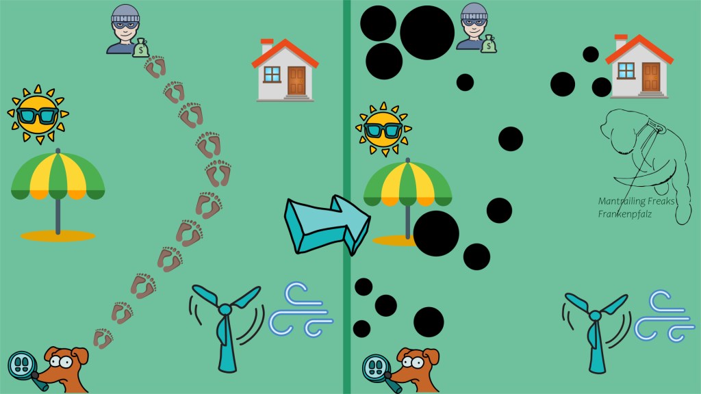 Spurtreue beim Mantrailing???