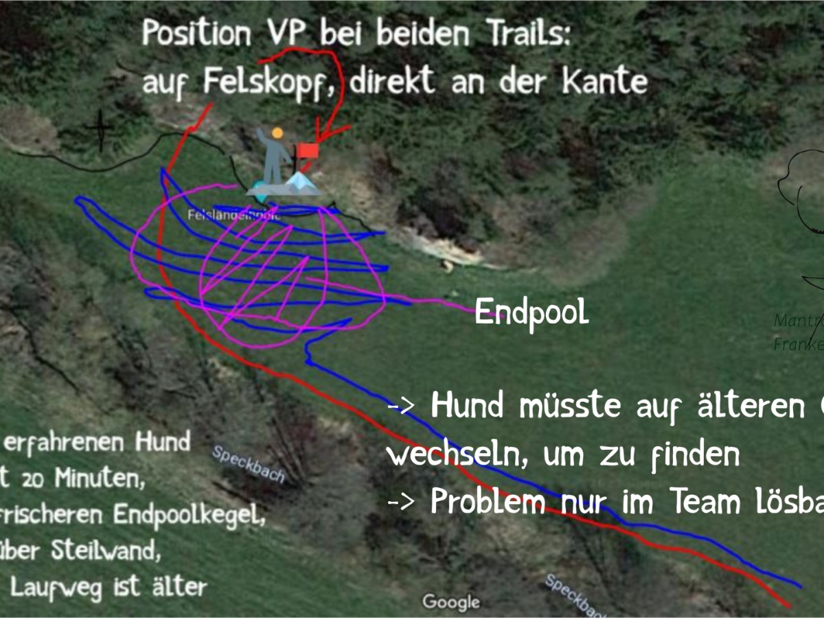 Wenn man von NEU in ALT muss um zu GANZ NEU zu&nbsp;kommen…