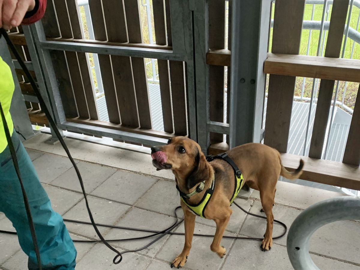 Würzburger MFF Seminare