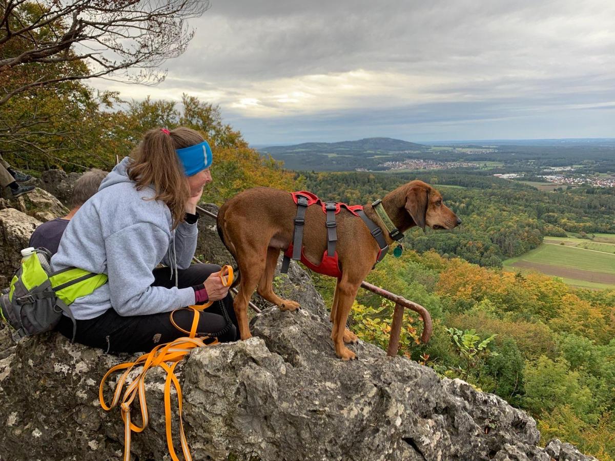 Angebote im Herbst/Winter&nbsp;2023/2024