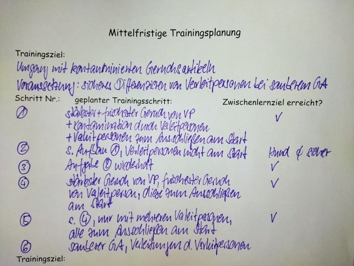PlanLosigkeit oder TrainingsPlanung?