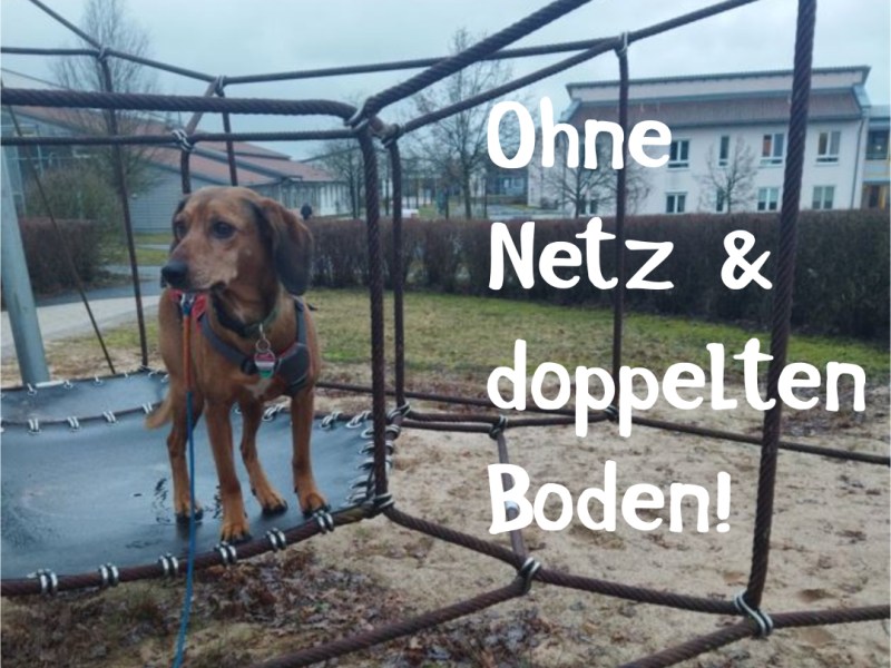 Intensivseminar „Doubleblinds“