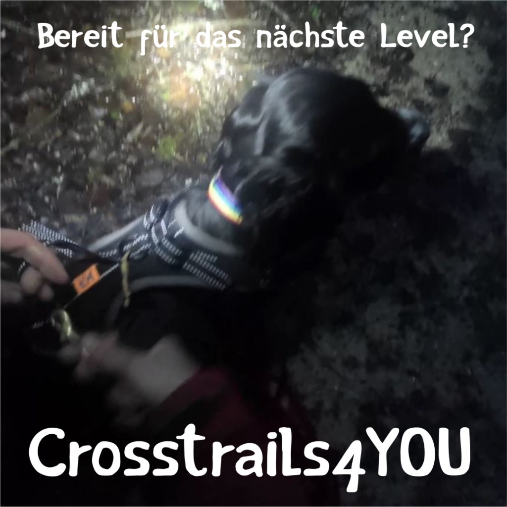 Crosstrails